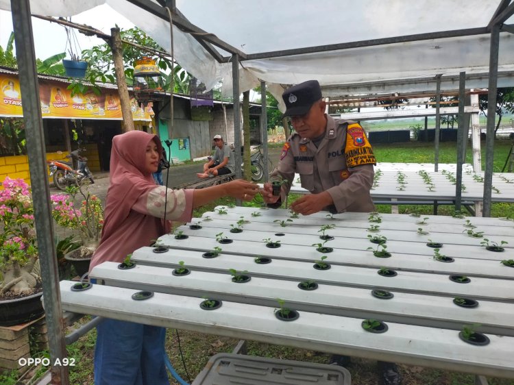 Polsek Taman Tinjau Sayuran Hidroponik Warga Untuk Ketahanan Pangan